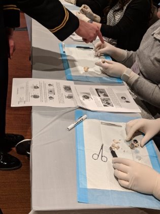 WAEPS members, including our WAEPS colleagues from military medicine, were active teachers during the dissection course.